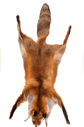Fuchsfell Fuchsfelle Fell Fuchs Mittelalter Larp Fuchspelz